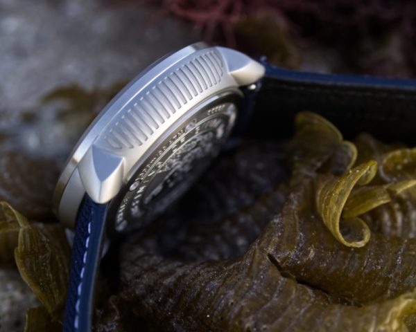 DW-D3 'Australis' - **AVAILABLE NOW** - Image 6