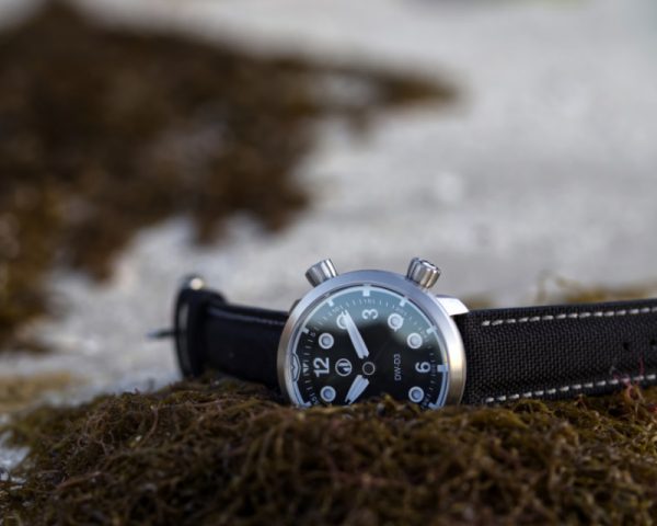 DW-D3 'Oceania' - **AVAILABLE NOW** - Image 4