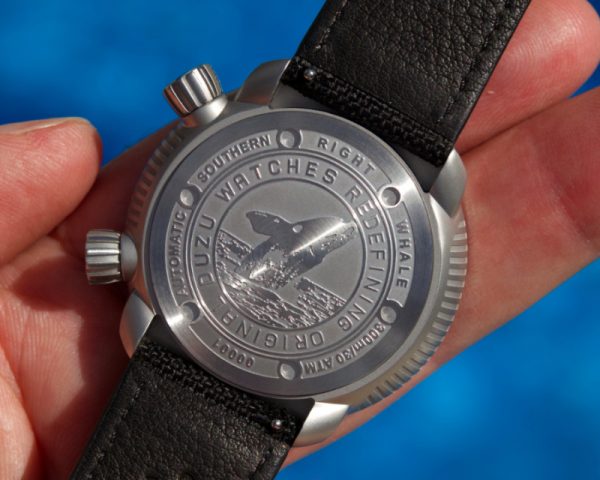DW-D3 'Australis' - **AVAILABLE NOW** - Image 4
