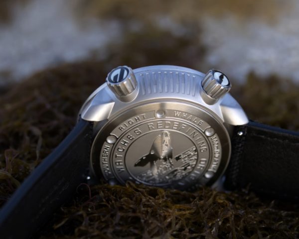 DW-D3 'Australis' - **AVAILABLE NOW** - Image 5